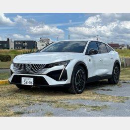 フロントは迫力あるラテン系セダンかワゴン（写真）小沢コージ