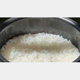 炊き上がり！ほら、美味しそうでしょ！／（提供）筆者 