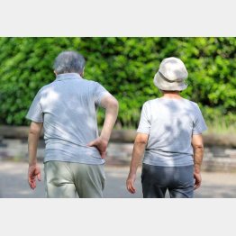 カミさんの苦労をねぎらう（Ｃ）日刊ゲンダイ