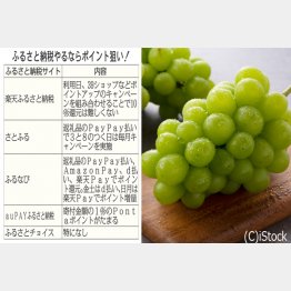 ふるさと納税もポイント還元を組み合わせて（Ｃ）日刊ゲンダイ