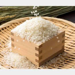 新潟産コシヒカリがピンチ
