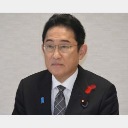 岸田文雄首相（Ｃ）日刊ゲンダイ