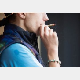 大麻の使用でも処罰対象に