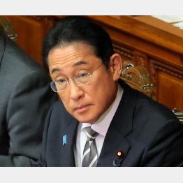岸田首相（Ｃ）日刊ゲンダイ