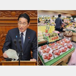 野菜も買えないくらいの物価高（右）、所信表明演説でますます露呈した無為無能（岸田首相＝左）／（Ｃ）日刊ゲンダイ