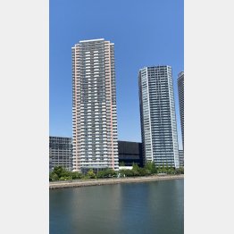 タワマンなんて夢の夢（Ｃ）日刊ゲンダイ