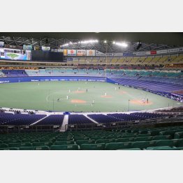 器にあった野球を（ナゴヤドーム）／（Ｃ）日刊ゲンダイ