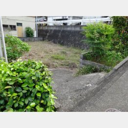 殺害現場（提供）筆者