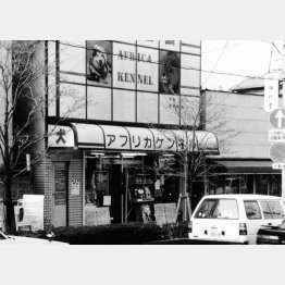 関根元・元死刑囚が経営していたペットショップ「アフリカケンネル」（Ｃ）共同通信社