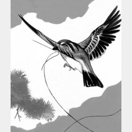 イラスト・卯月みゆき