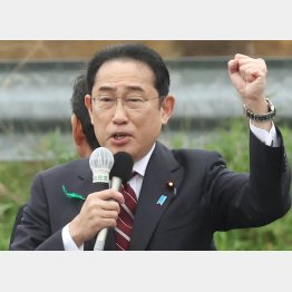 補選全廃へ（Ｃ）日刊ゲンダイ