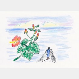 イラスト・沢野ひとし