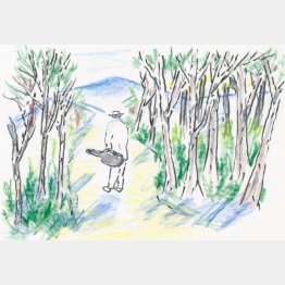 イラスト・沢野ひとし