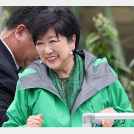 タヌキのようなこの人の審判は…（小池百合子都知事）／（Ｃ）日刊ゲンダイ