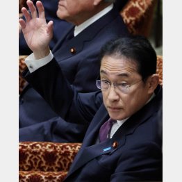 ノラリクラリ…（岸田首相＝衆院予算委員会、昨20日）／（Ｃ）日刊ゲンダイ