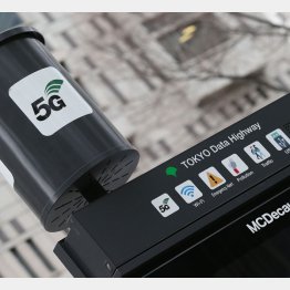 通信分野にも欠かせない（Ｃ）日刊ゲンダイ