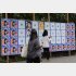 ぱんちゃん璃奈の大量のポスターが貼られた都知事選掲示板も…（Ｃ）日刊ゲンダイ