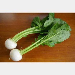 青森県の葉つきこかぶ（Ｃ）日刊ゲンダイ