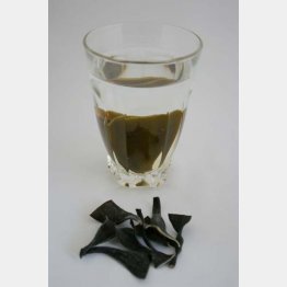 北海道礼文島の根昆布水（Ｃ）日刊ゲンダイ