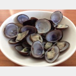 青森県の焼きシジミ（Ｃ）日刊ゲンダイ