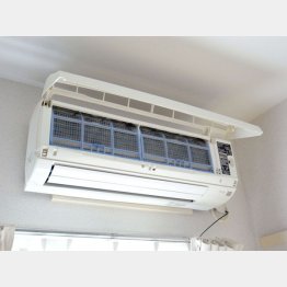 （Ｃ）日刊ゲンダイ