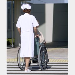 写真はイメージ（Ｃ）日刊ゲンダイ