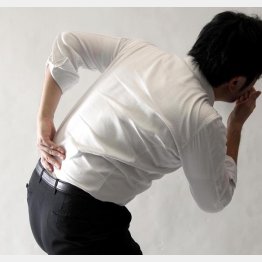 （Ｃ）日刊ゲンダイ