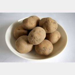 北海道のインカのめざめ（Ｃ）日刊ゲンダイ