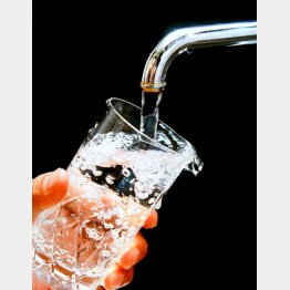 バケツ１杯分の水を流してから飲むこと（Ｃ）日刊ゲンダイ