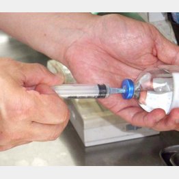 写真はイメージ（Ｃ）日刊ゲンダイ