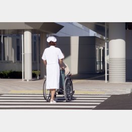 写真はイメージ（Ｃ）日刊ゲンダイ