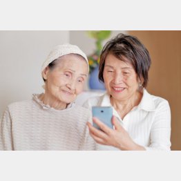 写真はイメージ