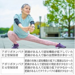 カギはアポリポタンパクE（Ｃ）日刊ゲンダイ