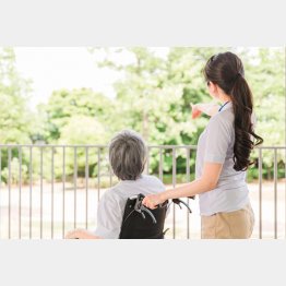 写真はイメージ