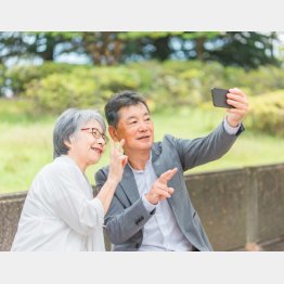 写真はイメージ