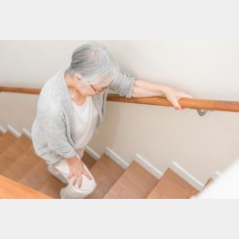 写真はイメージ