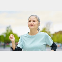 写真はイメージ