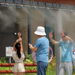 熱中症救急搬送の半数以上を占めるのが高齢者（Ｃ）日刊ゲンダイ