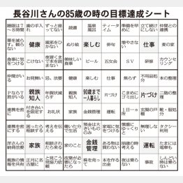 85歳の時の目標達成シート（Ｃ）日刊ゲンダイ