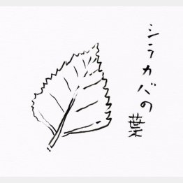 イラスト・沢野ひとし