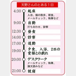 天野さんのとある1日（Ｃ）日刊ゲンダイ