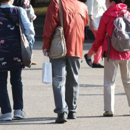 サーチュイン遺伝子に注目が集まる（Ｃ）日刊ゲンダイ