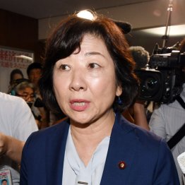 こちらは盤石（野田聖子氏）／（Ｃ）日刊ゲンダイ