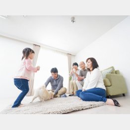 写真はイメージ