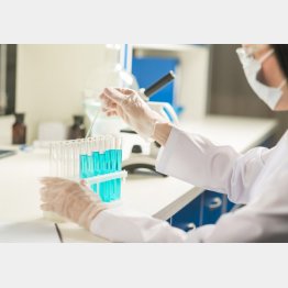 写真はイメージ