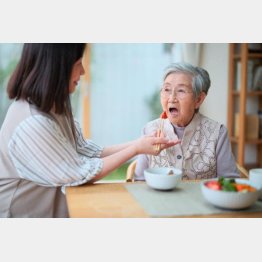 写真はイメージ