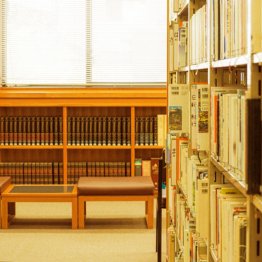 西日の当たる図書室のきみは…（写真はイメージ）／（Ｃ）日刊ゲンダイ