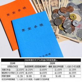 将来どれくらいの年金がもらえるのか（Ｃ）日刊ゲンダイ