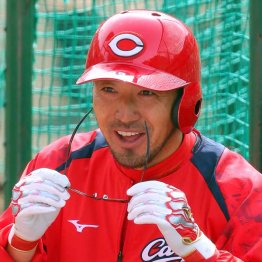 菊池涼介（Ｃ）日刊ゲンダイ