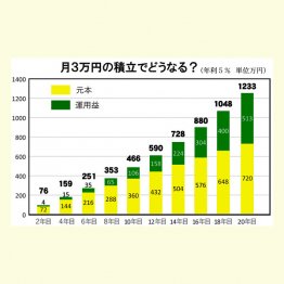 15年後の運用益は…？（Ｃ）日刊ゲンダイ